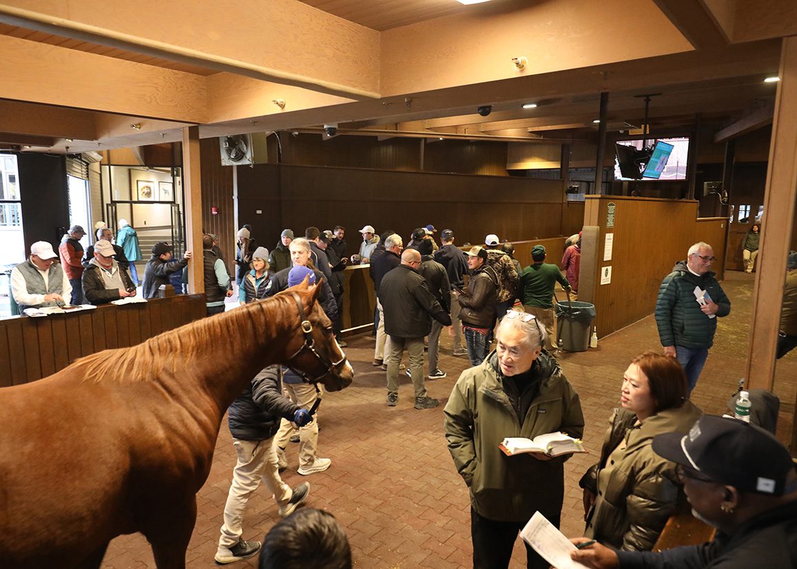 Keeneland January Concludes With Day Of 'Solid Trading'