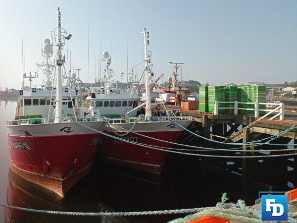 A CINEA study assessing the resilience of EU commercial fisheries to climate change has concluded that sound scientific advice must be followed Prioritising the European fishing sector in Autonomous Tariff Quotas discussions will strengthen the sector’s economic resilience, stresses the EAPO social partners decarbonisation fishing mcconalogue Ireland's EMFAF 2021-2027 EAPO Annual report 2024