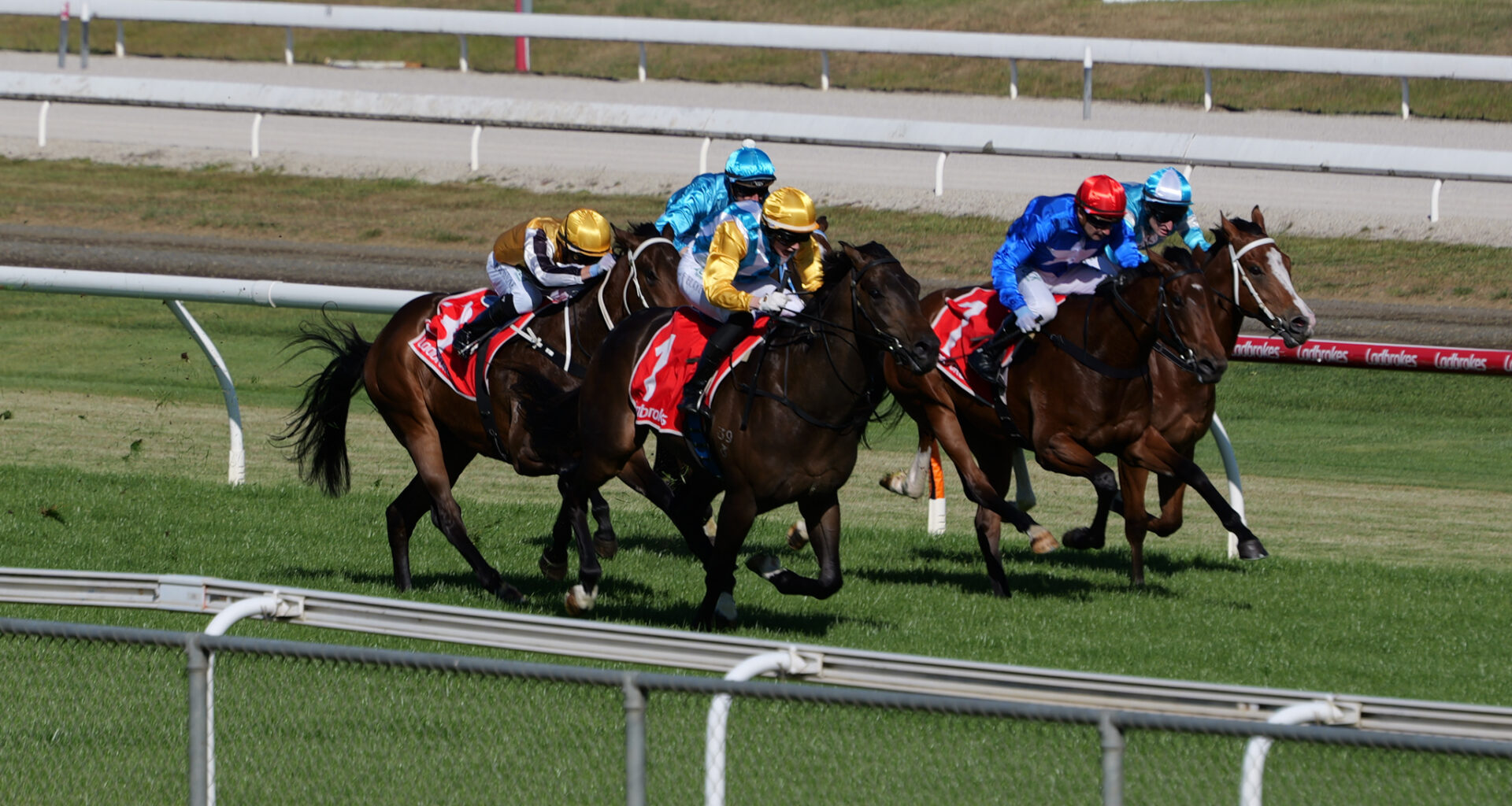 Launceston best bets, Friday night