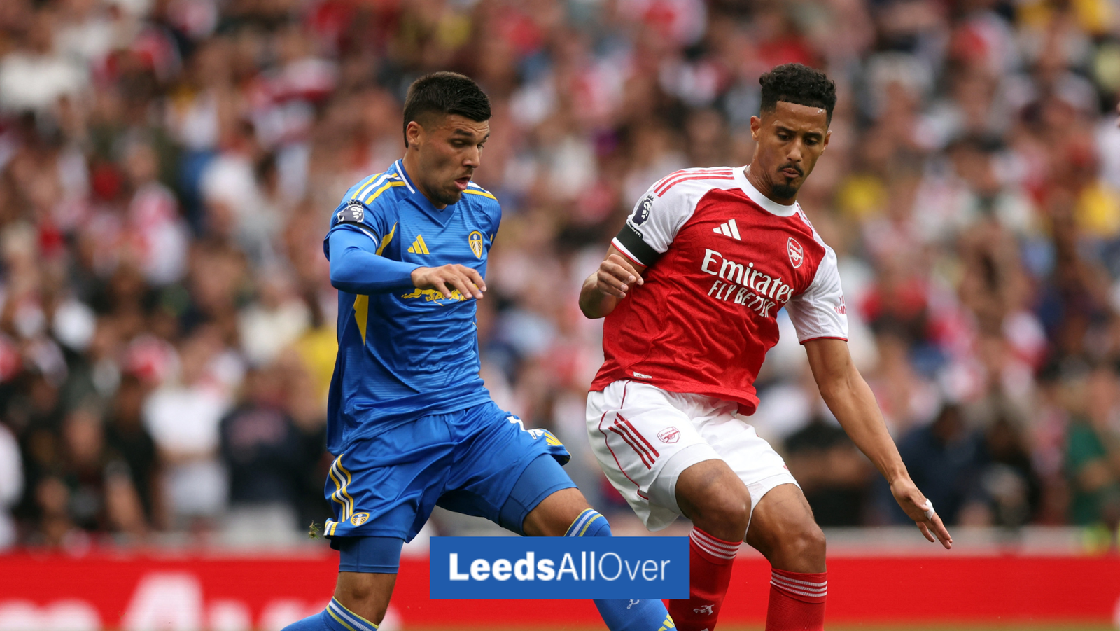 Leeds United's stance on Joel Piroe January exit revealed