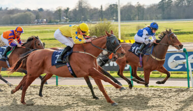 Saturday’s best bets across the tracks – Paddy Power News