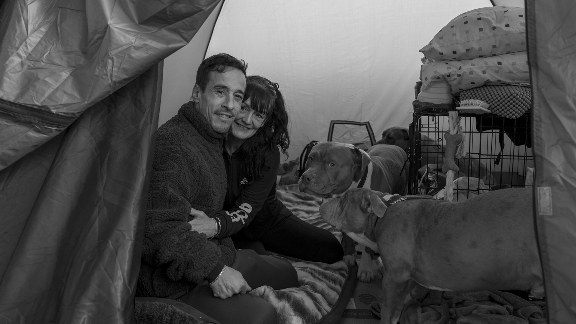 A man and a woman with their two dogs in a tent