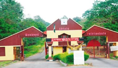 MAPOLY Inaugurates Block-Making Industry, Solar Power System – THISDAYLIVE