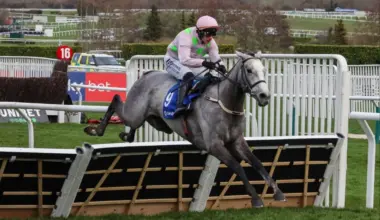 Golden Ace's jockey celebrates winning the Champion Hurdle at Cheltenham