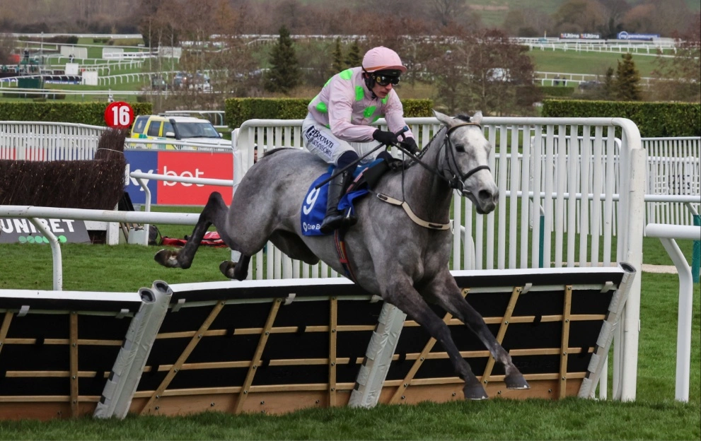 Golden Ace's jockey celebrates winning the Champion Hurdle at Cheltenham