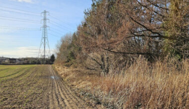 New public footpath to be constructed in Currie