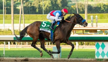 Skippylongstocking wins Pegasus World Cup in upset – San Gabriel Valley Tribune