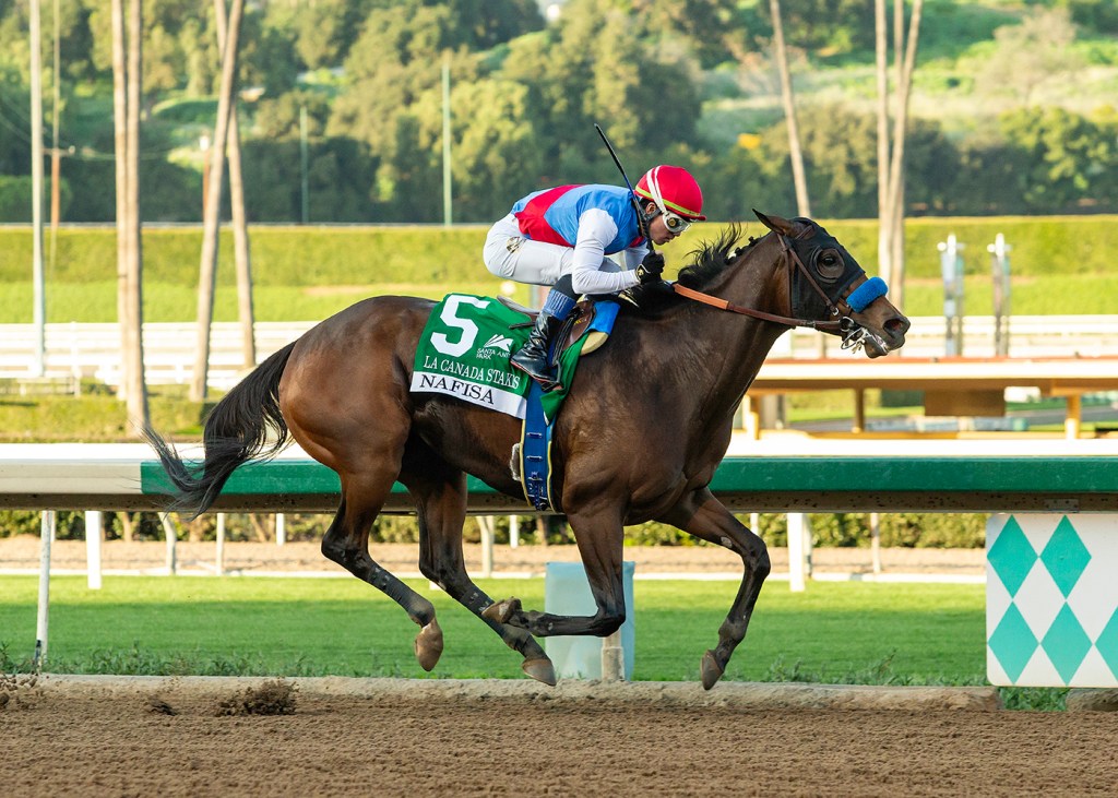 Skippylongstocking wins Pegasus World Cup in upset – San Gabriel Valley Tribune