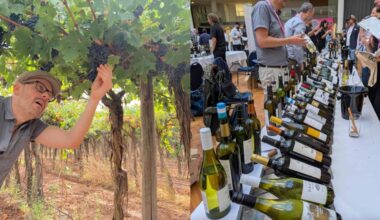 City set to celebrate its first major wine festival