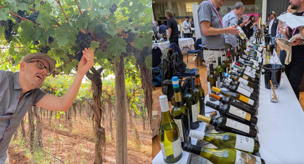 City set to celebrate its first major wine festival