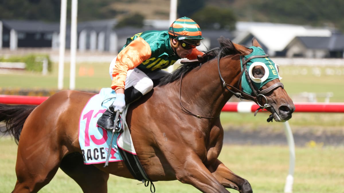 Horse racing: Rosso’s recipe to stay the same for Pitmans in Wellington Cup