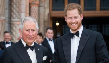 Prince Harry Makes Unexpected Cameo in King Charles’s New Documentary