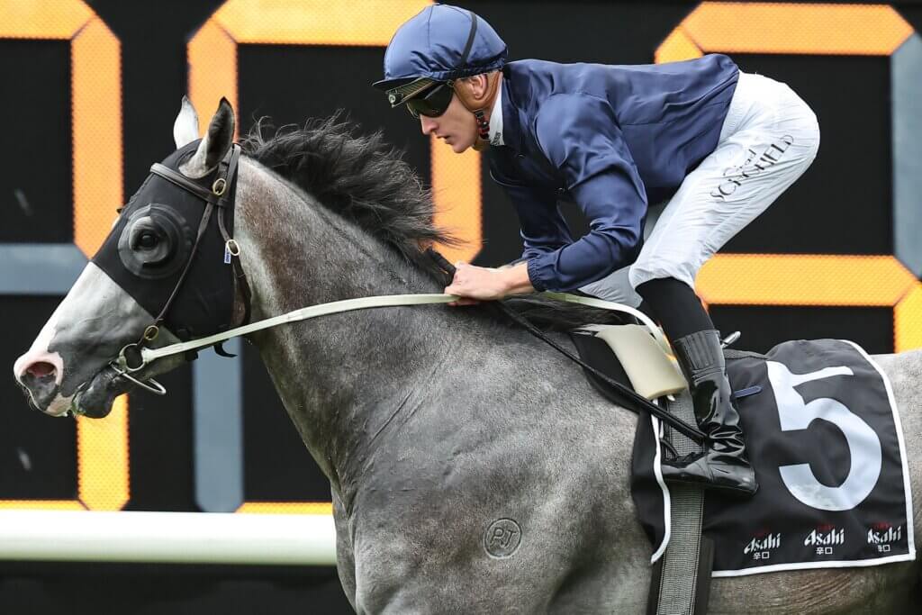 Public Attention wins the G3 Eskimo Prince