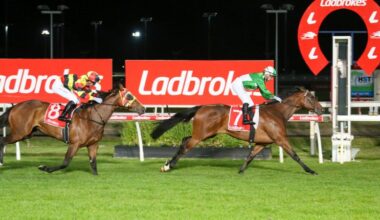 Launceston best bets, Wednesday night