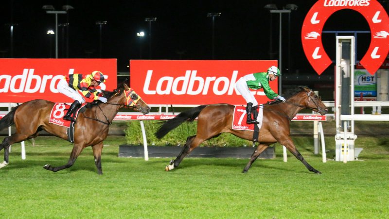 Launceston best bets, Wednesday night