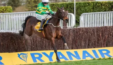 Golden Ace's jockey celebrates winning the Champion Hurdle at Cheltenham