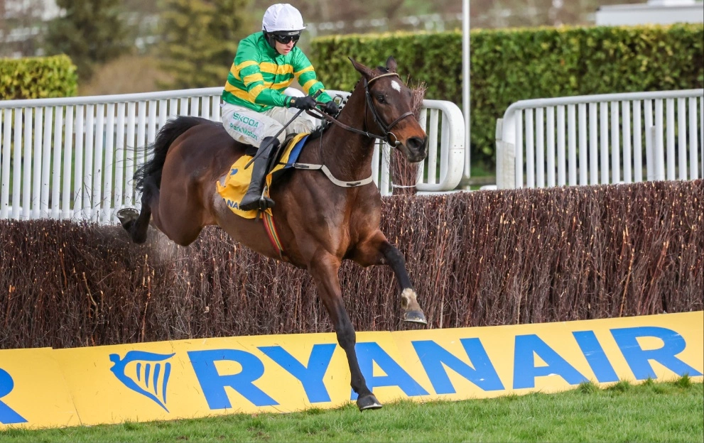 Golden Ace's jockey celebrates winning the Champion Hurdle at Cheltenham