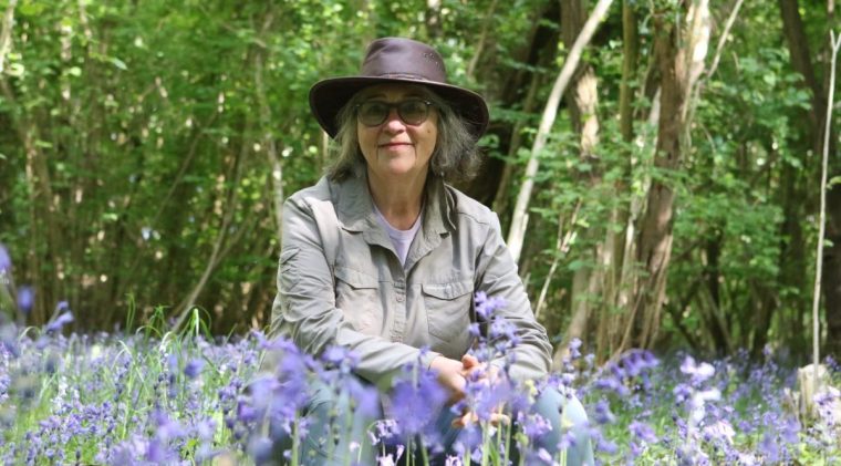 Denise Taylor Credit: James McCord Provided by denise@amazingpeople.co.uk