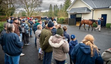 'The Wootton Bassett Factor Is Proving To Be A Huge Draw To The Stallion Trail'
