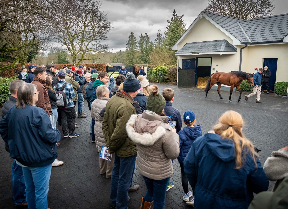 'The Wootton Bassett Factor Is Proving To Be A Huge Draw To The Stallion Trail'