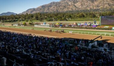 How Can Anime Positively Impact Horse Racing? Let the Umamusume Community Explain