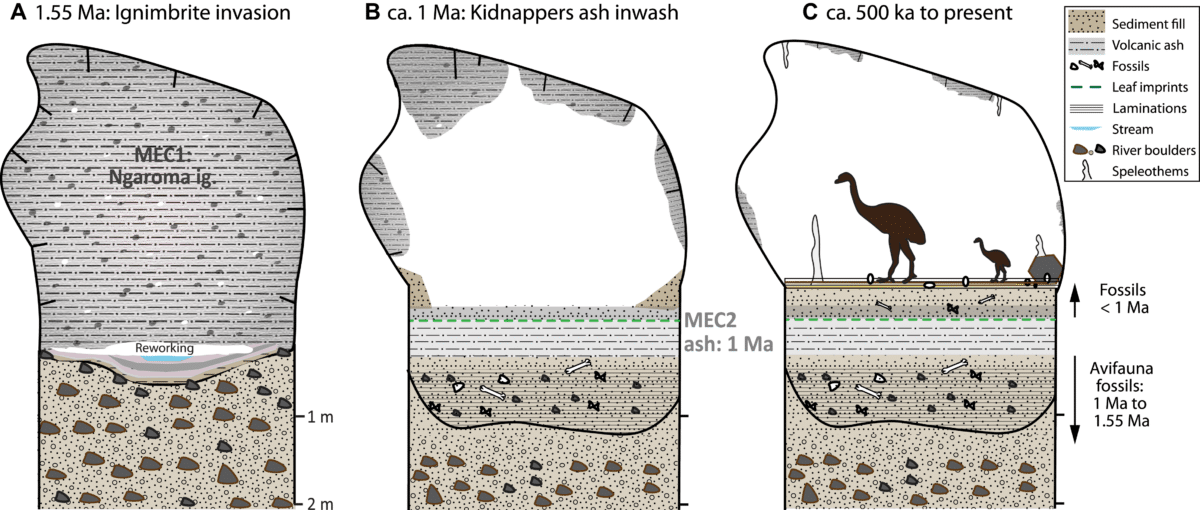 Schematic Diagrams Showing How Moa Eggshell Cave Evolved Over Time