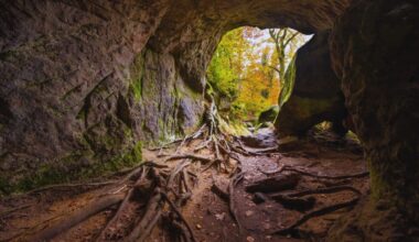 Scientists Enter A Mysterious Remote New Zealand Cave, What They Found Dates Back 1 Million Years