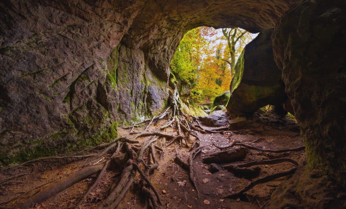Scientists Enter A Mysterious Remote New Zealand Cave, What They Found Dates Back 1 Million Years