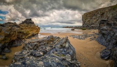 Scientists Unearthed A 150 Million Year Old Dinosaur Egg Nest On A Portuguese Beach