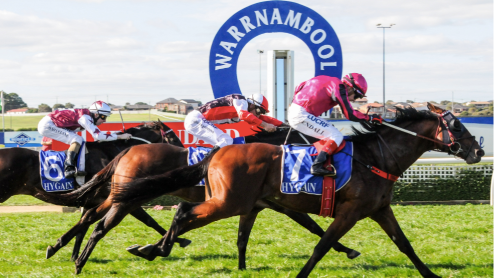 Nick Noonan & Mick Gannon's RSN tips Sunday (11/01)