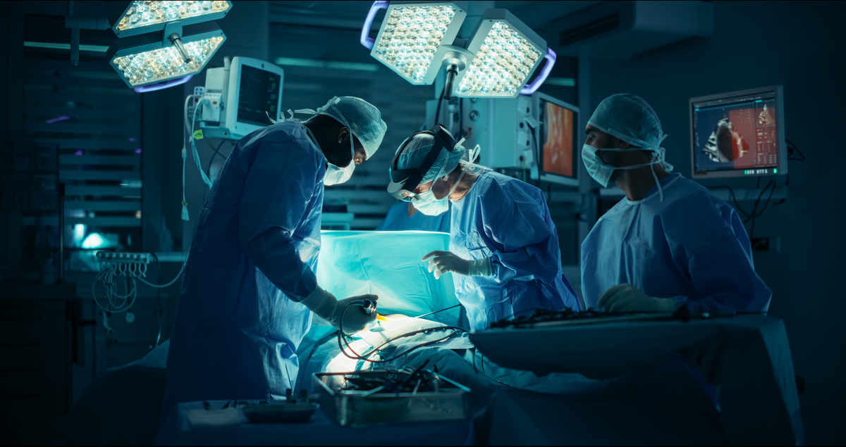 Spain exceeds 6,300 organ transplants for second year running « Euro Weekly News