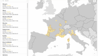 Europe's Winter Ends Chikungunya Outbreaks — Vax-Before-Travel