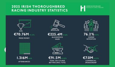 Horse Racing Figures from 2025 Paint Healthy Picture