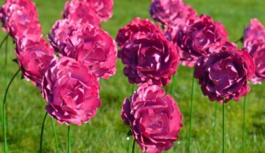 A Thousand Peonies to Bloom at Oakwell Hall for Mother’s Day