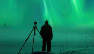 This Photographer Went For The Northern Lights, But He Never Expected To Meet A Curious Creature