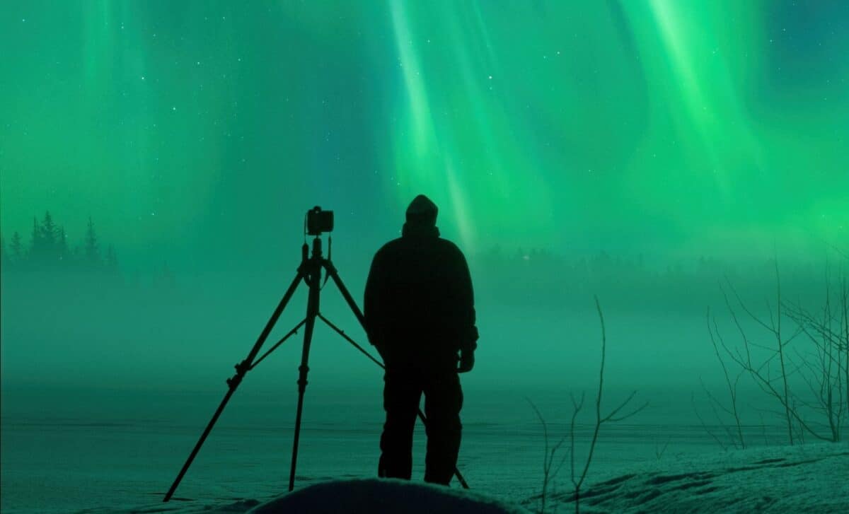 This Photographer Went For The Northern Lights, But He Never Expected To Meet A Curious Creature