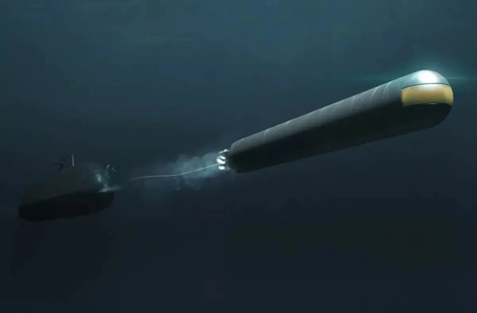 Representation of the DM2A5 torpedo - TKMS
