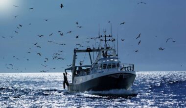 Aberdeenshire fishing industry projects benefit from Marine Fund Scotland grants