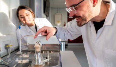 Building an AI platform to help food security