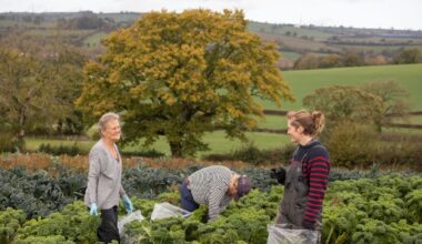 More than 500 donors secure The Community Farm's future