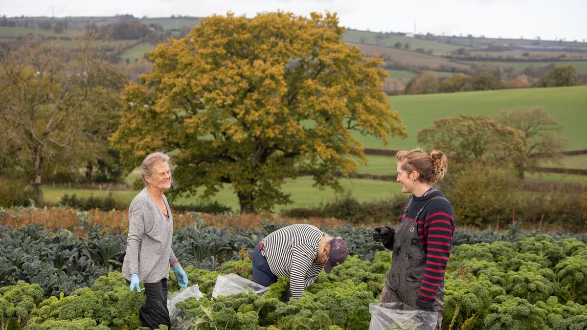 More than 500 donors secure The Community Farm's future