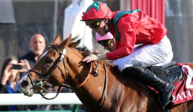 Armano Follows In His Half-Brother Ace Impact's Steps