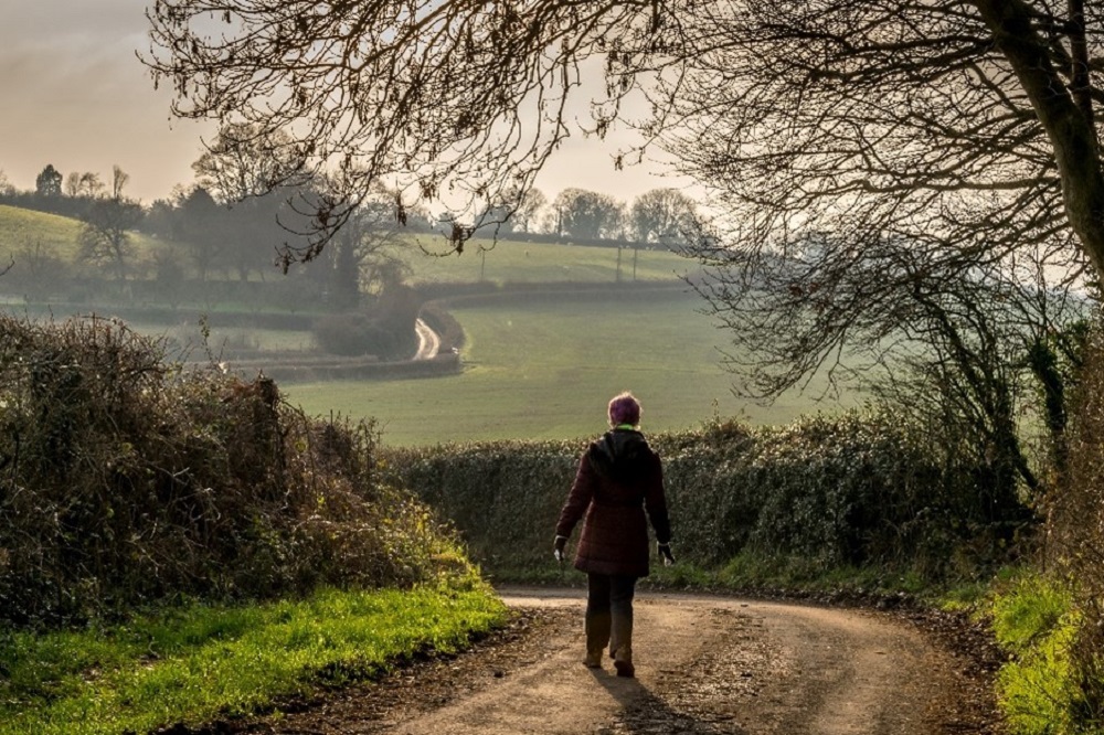 National Trust shares best winter walks in Wales
