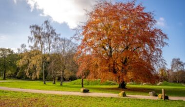 What is the Wythenshawe Park Community Fund used for?