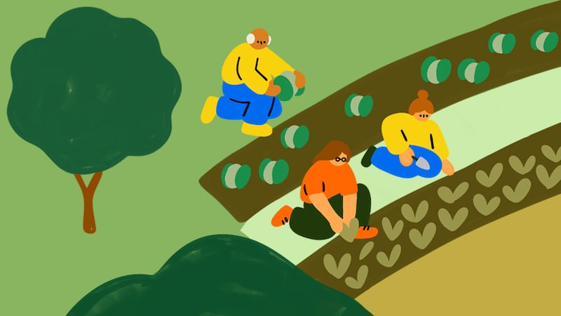 Lock away your phone, log out of Netflix and get out into the real world. Illustration: Fuchsia MacAree