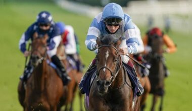 Bookies icon and branding