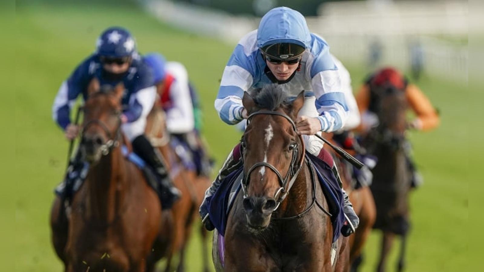 Bookies icon and branding