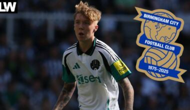 Birmingham City eye Newcastle United transfer raid