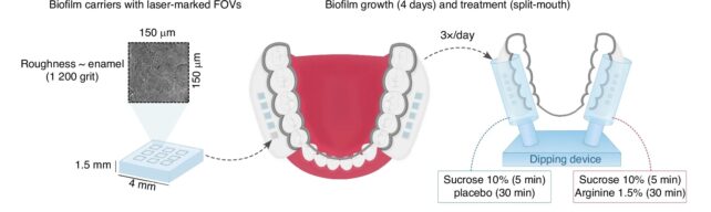 A Secret Ingredient For Preventing Tooth Decay Might Be in Your Mouth Already