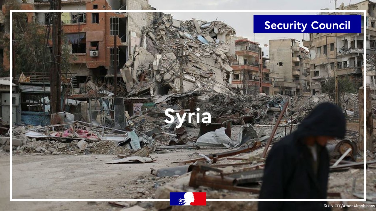 France reiterates its support for the OPCW teams